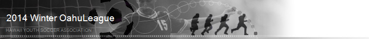 2014 Winter OahuLeague banner